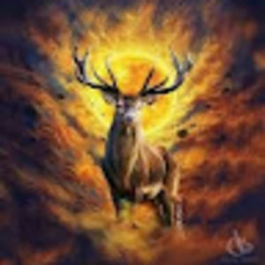 Meet your Posher, Manuel